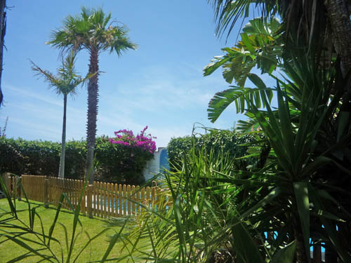 jardin